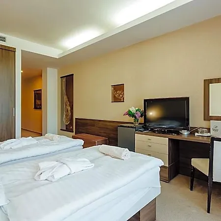 Wellness Diplomat Hotel
